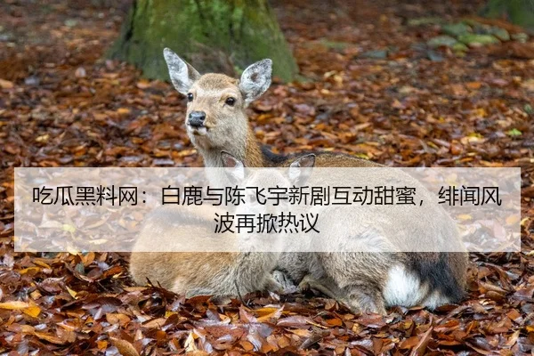 吃瓜黑料网：白鹿与陈飞宇新剧互动甜蜜，绯闻风波再掀热议